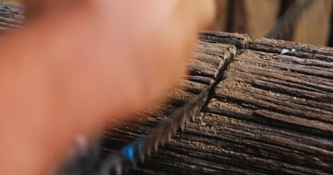 Cutting, sawing and log or wood for firewood and material. High quality 4k footage