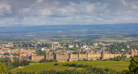 Fototapeta premium La Cité de Carcassonne avec les champs de vigne en avant plan