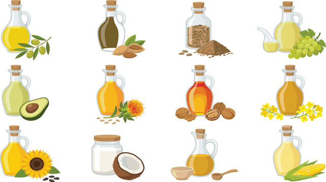 Natural Cooking Oil Collection with Olive Coconut Sunflower Corn and Vegetable Oils Vector Illustration Set