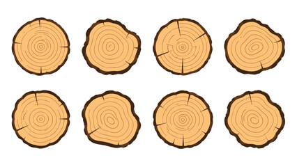 Set of tree trunk cross sections in simple vector style © Andrei