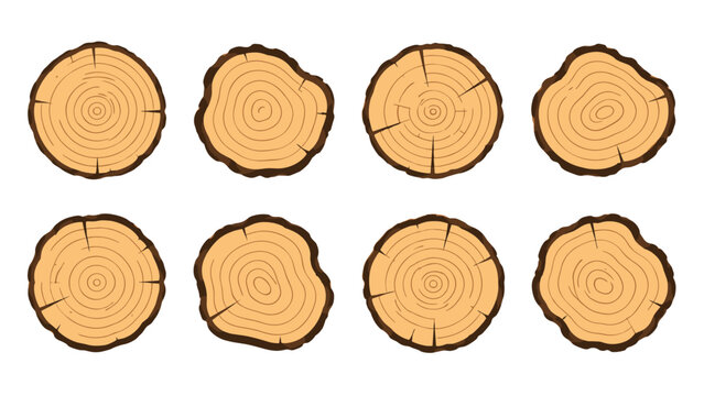 Set of tree trunk cross sections in simple vector style