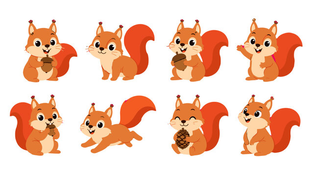 Cute cartoon squirrel character set in different poses