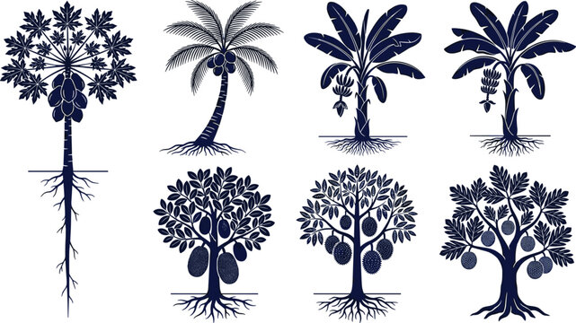 Tropical Fruit Tree Silhouette Collection Featuring Coconut Palm, Banana, Papaya, Mango, and Breadfruit with Intricate Root Systems for Agricultural Branding and Exotic Orchard Vector Illustrations
