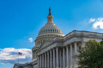 Fototapeta premium Washington State Capitol. United states Capitol. The Capitol building in Washington. Architecture view on dome with column. Famous Capitol in Washington DC. Senate and House in Washington DC