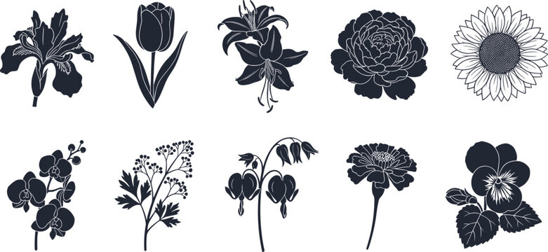 Comprehensive Botanical Flower Silhouette Vector Set Featuring Rose Tulip Sunflower Lily Orchid and Pansy Floral Elements for Nature Themed Wedding and Garden Designs