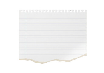 Obraz premium Blank white paper with a perforated edge isolated on transparent background isolated on transparent background