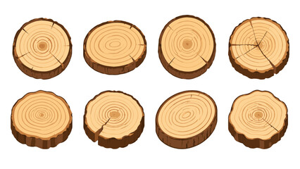 Set of tree trunk cross sections with bark in vector style © Andrei