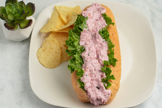 ham salad sub  with  a side of potato chips