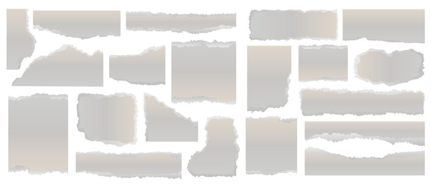 torn paper background