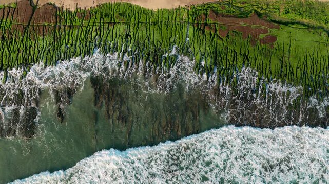Aerial view of green reef and beach in Taiwan