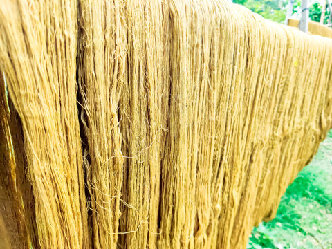 YARN DRYING AND PROCESSING UNDER SUN.