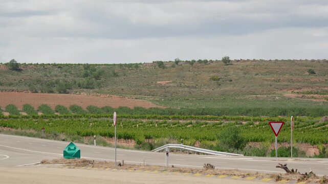 Quiet rural road junction with yield sign borders rows of green vineyards and almond groves, terraced hillsides of red soil rise toward a cloudy overcast sky