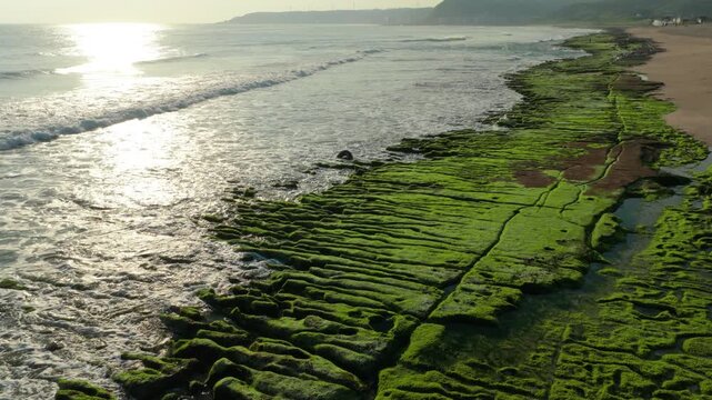Aerial view of green reef and beach in Taiwan
