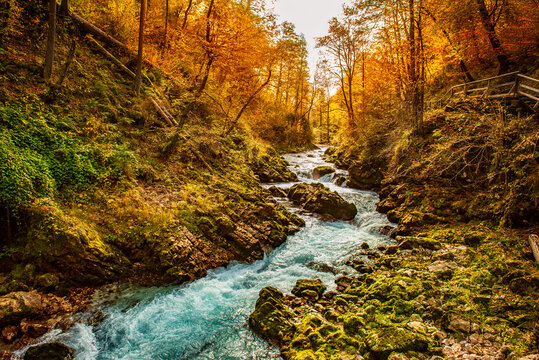 Vintgar gorge, Slovenia