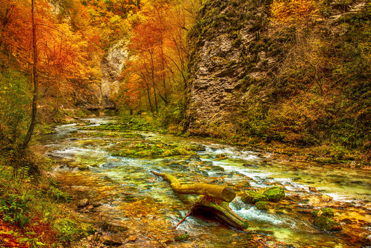 Vintgar gorge, Slovenia