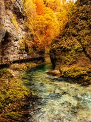 Vintgar gorge, Slovenia © Roxana