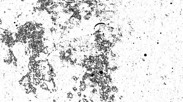 Microscopic cellular tissue structural patterns for background, science, medical, educational, or abstract design projects requiring dark, gritty textures.