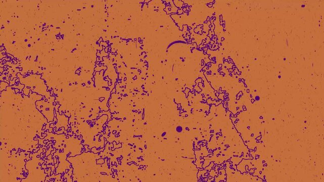 Microscopic purple structures and dark purple filamentous bacteria on an orange background. Suitable for biology, science, and microscopic studies.