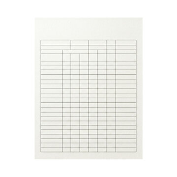 Blank ledger graph paper document page