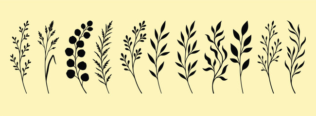 Black silhouette botanical collection diverse leaf and berry sprigs © Abir Hossain