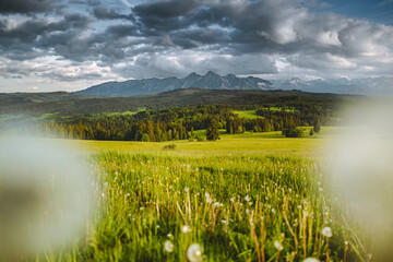 Łapszanka - Tatry © Radosław Dybała