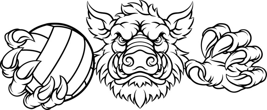 A boar razorback hog volleyball animal sports mascot holding a volley ball in his claw