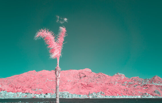 Infrared Filtered Landscape of Giardini Naxos, Sicily with Pink Foliage