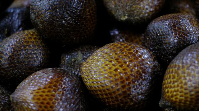 Salak Snake Fruit at Jakarta Traditional Market - Rare Exotic Tropical Fruit Indonesia