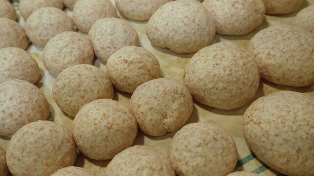 Numerous small balls of whole wheat dough rising on a tray. Fermentation process of bread buns before baking in a professional bakery