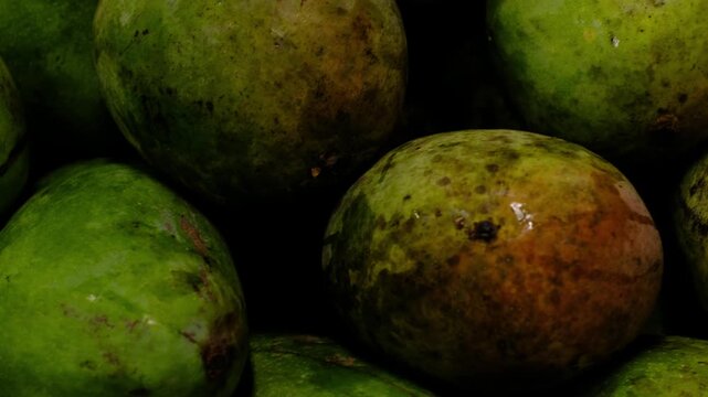 Green Mango at Jakarta Traditional Market - Natural Imperfect Tropical Fruit Indonesia