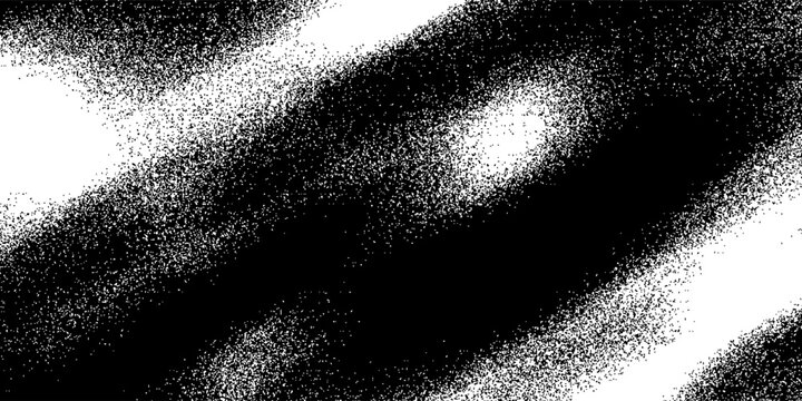 Organic Particle Flow in Black and White with Textured Wave Forms geometric artwork