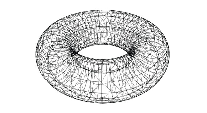 Complex three-dimensional wireframe model of a torus or donut shape displays its intricate geometric structure and mesh.