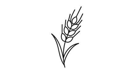 Fototapeta premium Wheat Grain Plant Line Art Illustration.