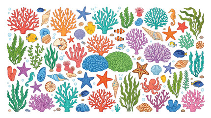 Colorful coral reef collection, underwater sea life vector set with tropical fish and starfish, marine ocean flora and fauna elements on white © DesignAura