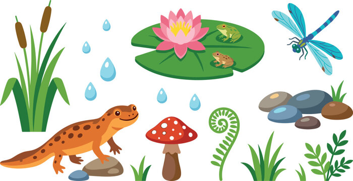 Pond Wildlife and Nature Vector Illustration Set with Cute Salamander Newt Frogs Water Lily Dragonfly Reeds Mushroom and Pebble Stones for Ecosystem Graphics