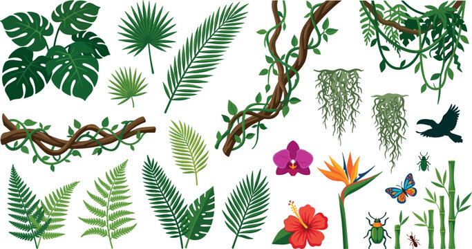 Tropical Jungle Plant and Hanging Vine Vector Element Set with Exotic Monstera Palm Leaves Ferns Bamboo Hibiscus Orchid and Bird of Paradise Flowers