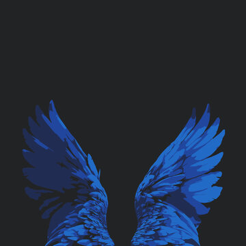Blue Bird Wings on Black Background.