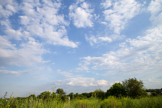 Blue Sky with White Clouds over Green Rural Meadow in Summer