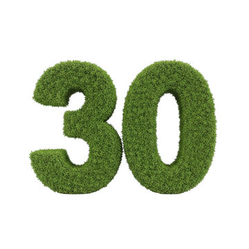 Green leafy number thirty isolated on white background