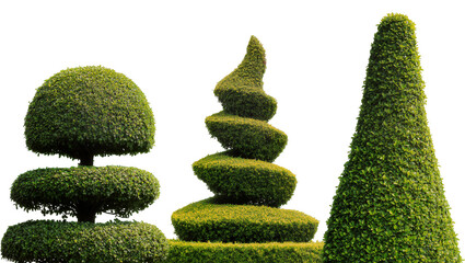 Obraz premium Topiary garden plants in various shapes, isolated on transparent background