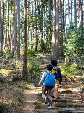 初春の山道を仲良く歩くリュックの子供