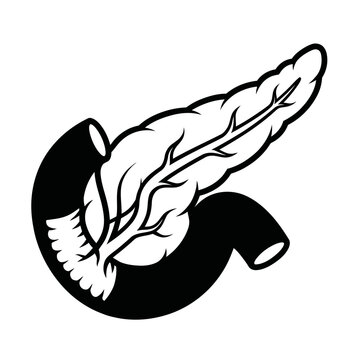 Science pancreas small intestine colon spleen gallbladder bladder