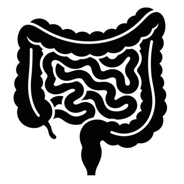 Science small intestine large intestine colon pancreas spleen bladder