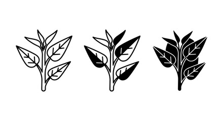 Plant Icons Set: Outline, Solid Black, and Silhouette Vector Graphics for Nature and Growth Concepts © Tasnia
