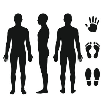 Human body silhouettes front side and back view with hand and foot prints