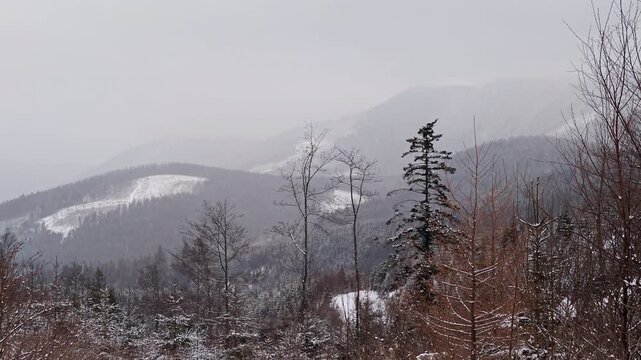 Winter mountain landscape with deforested hills under overcast sky and light snow