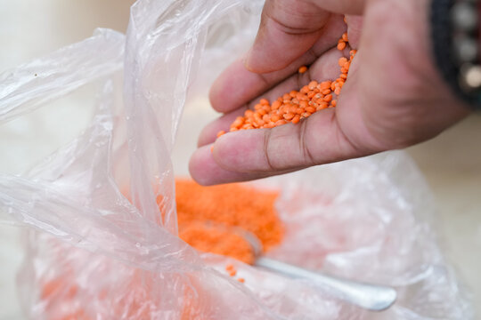 Masoor Dal (Red Lentils) Close-Up Background, Premium Quality Masoor Dal Macro Image