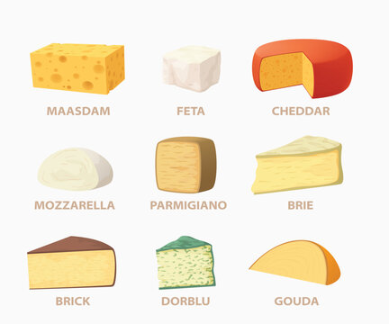 Cheese varieties set labeled food on white