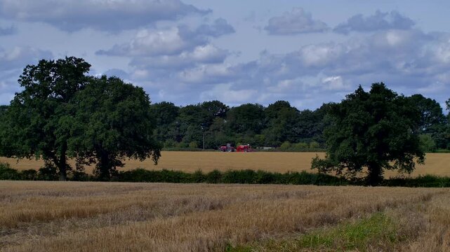 farmland  cornfield before harvesting of arable crops