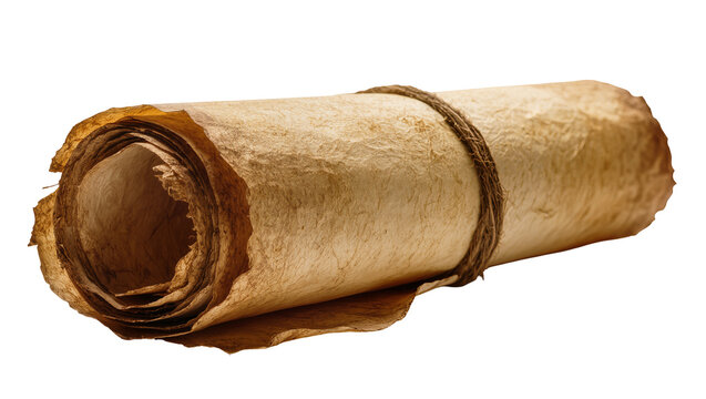 Rolled ancient parchment scroll tied with rough twine, isolated on transparent background